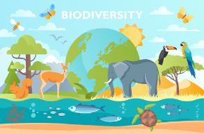 Biodéversité